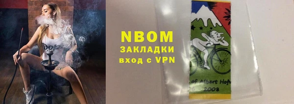 ГАЛЛЮЦИНОГЕННЫЕ ГРИБЫ Ельня