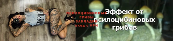 амф Вязьма