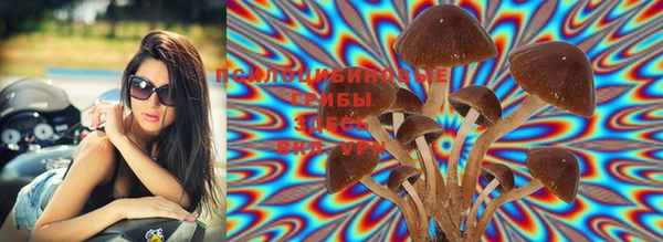 мяу мяу мука Вязники