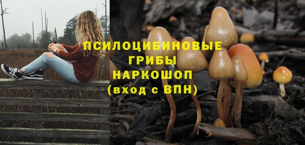 мяу мяу мука Вязники